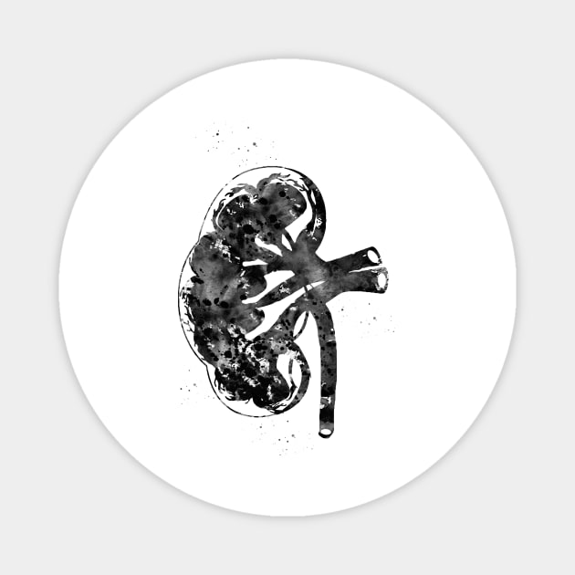 Kidney section Magnet by erzebeth